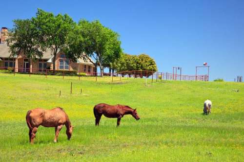 Horse Property Homes